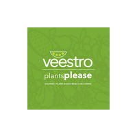 Veestro Logo